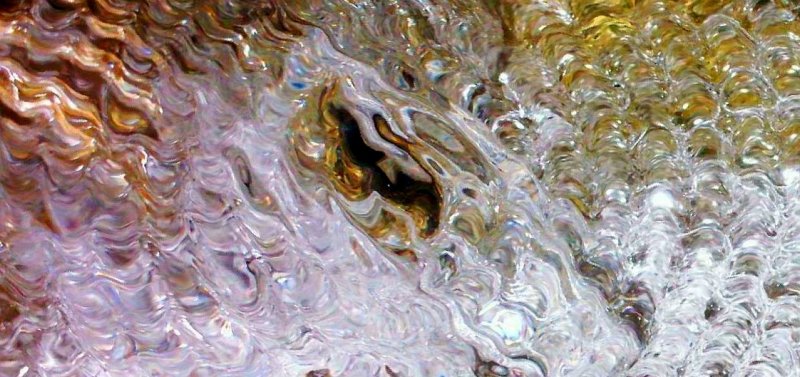 Splash