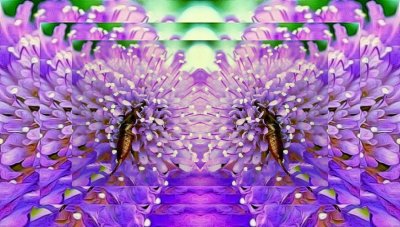 Thanka 3