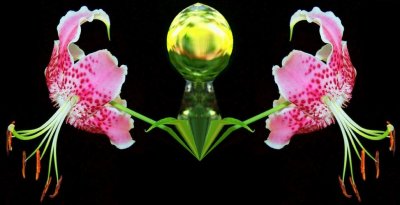 Double Vision