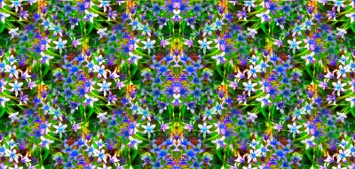 g12/79/738779/3/112243628.yhgfO8Wr.jpg