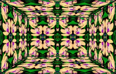 g12/79/738779/3/112395456.5SllhXf6.jpg