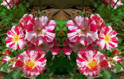 g12/79/738779/3/113688752.0bMSJqVG.jpg