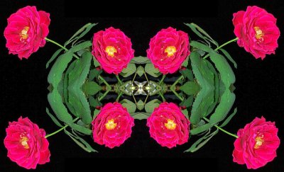 Synaptic Convergence