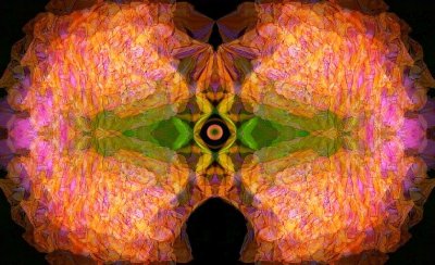 g12/79/738779/3/119485066.hqlvxZS4.jpg