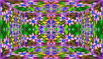 Brahma Kaleidoscope