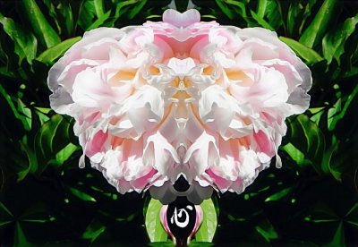 g12/79/738779/3/135401854.Y3ureNx1.jpg