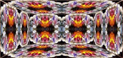 g12/79/738779/3/163669918.pip1u2mS.jpg