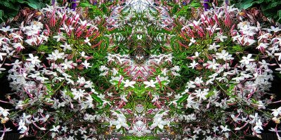 g12/79/738779/3/169007213.M8J9o3RM.jpg