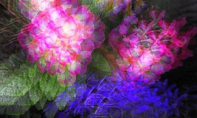 g12/79/738779/3/169123096.VOb0uWy6.jpg