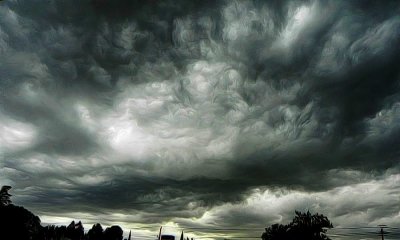 g12/79/738779/3/169278718.oV9udJJP.jpg