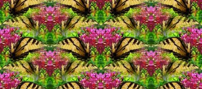 g12/79/738779/3/169977625.XVPBDVrh.jpg