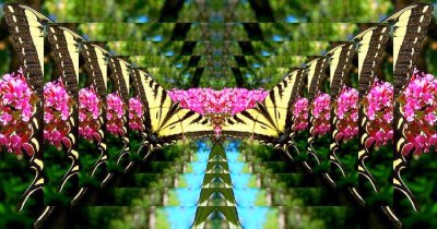 g12/79/738779/3/169977630.uR0RcSVG.jpg