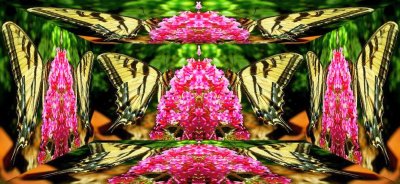 g12/79/738779/3/169977640.22rNXDE3.jpg
