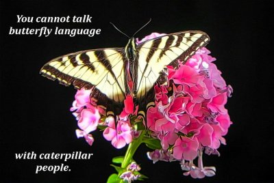 g12/79/738779/3/169977641.XZDop9tj.jpg