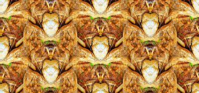 g12/79/738779/3/170052050.DJFJNgZX.jpg