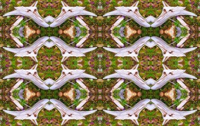 g12/79/738779/3/170052052.5TJYrvxZ.jpg