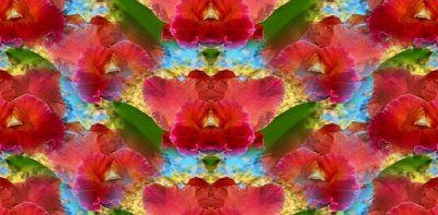 g12/79/738779/3/170067045.exu65sIG.jpg