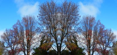 g12/79/738779/3/170159564.9vV6DQwr.jpg