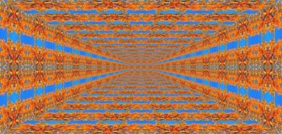 g12/79/738779/3/170160541.7WLvtxpm.jpg