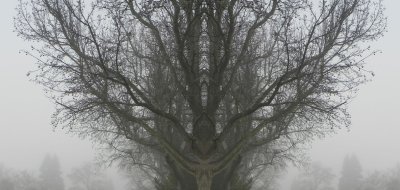 g12/79/738779/3/170277865.0GWrzjex.jpg