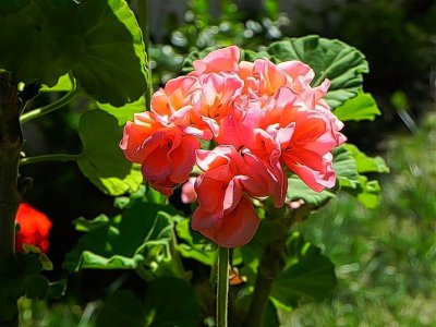 g12/79/738779/3/170637879.a3UfaMih.jpg