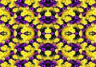 Golden Purplelation