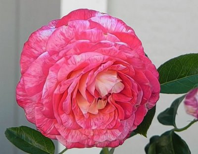 g12/79/738779/3/170806681.uetAgC7C.jpg