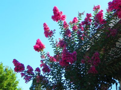 g12/79/738779/3/170828640.R6Ojl6EQ.jpg