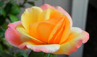 g12/79/738779/3/171093780.CyuYRsSp.jpg