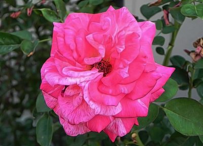 g12/79/738779/3/171093781.DbVfZDzg.jpg