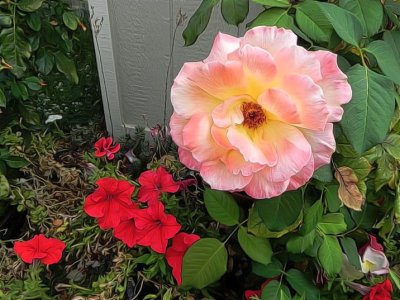 g12/79/738779/3/171107324.lXYbwK3P.jpg