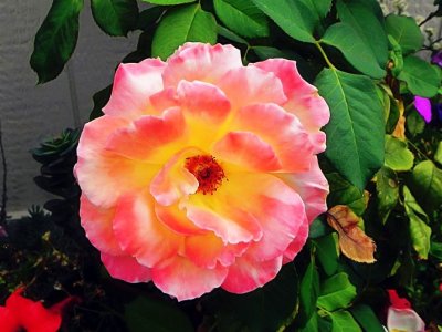 g12/79/738779/3/171107348.y1F01cwI.jpg