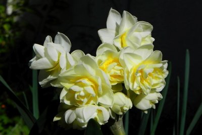 g12/79/738779/3/171434438.VBbNXla4.jpg