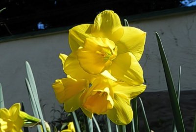 g12/79/738779/3/171458298.e6PlflU8.jpg