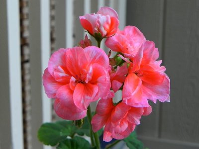 g12/79/738779/3/171557445.TrjuYsNe.jpg