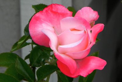 g12/79/738779/3/171589262.lr6gGR63.jpg