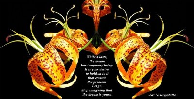 Stop Imagining
