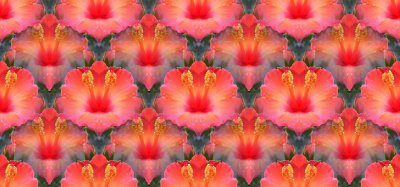 Collective Enthronement