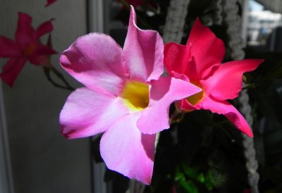 g12/79/738779/3/171731038.joogQDpO.jpg