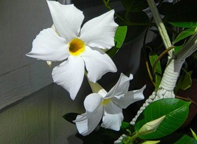 g12/79/738779/3/171731044.hay5Wb6l.jpg