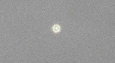 g12/79/738779/3/172087905.IthXy9sS.jpg