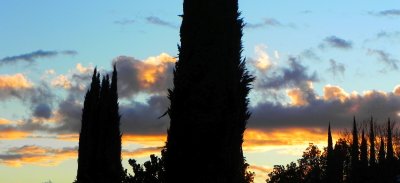 g12/79/738779/3/172202331.GGzRf8II.jpg