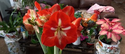 g12/79/738779/3/172315625.Nu6bYWDm.jpg