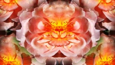 g12/79/738779/3/172331809.wpAgS6uV.jpg