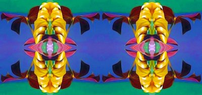g12/79/738779/3/172347293.XhoDlisY.jpg