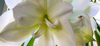 g12/79/738779/3/172356414.dWV5CID9.jpg