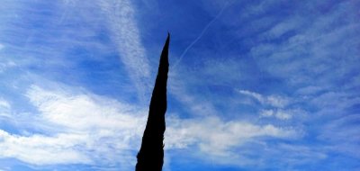 g12/79/738779/3/172455458.kU5sLbBt.jpg