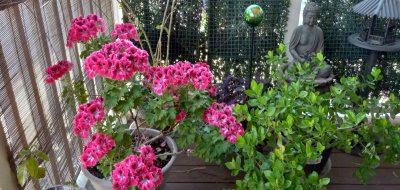 g12/79/738779/3/172521218.v6lDC9j0.jpg