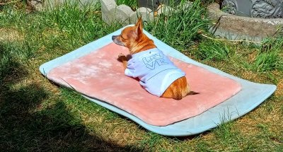 Flying Carpet Ride