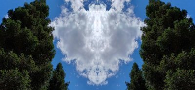 g12/79/738779/3/172740609.v4x47iCa.jpg